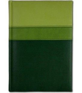 Ежедневник "Верона триколор" Формат А5, 384 стр.