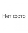 Логотип на ляссе на ежедневниках